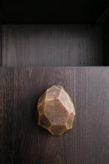 Organic Bronze Wall Hook