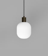 Parlour Curve Pendant Light