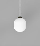 Parlour Curve Pendant Light