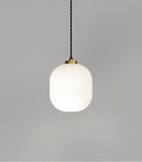 Parlour Curve Pendant Light