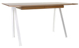 Horizon Desk