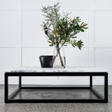 Trieste Coffee Table