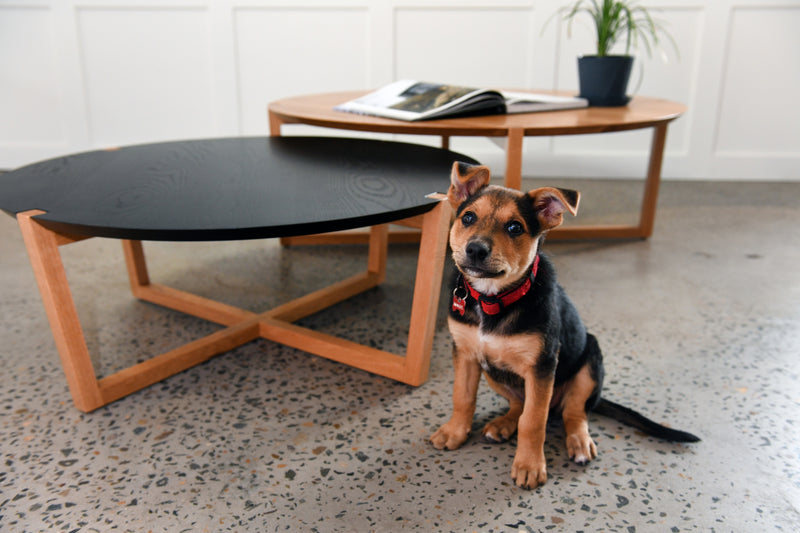 Markham Coffee Table | By Artifex