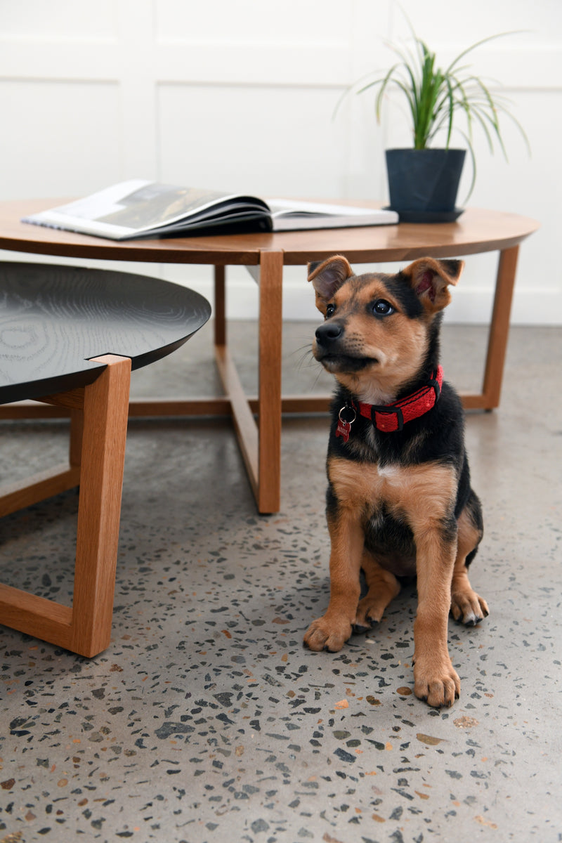Markham Coffee Table | By Artifex
